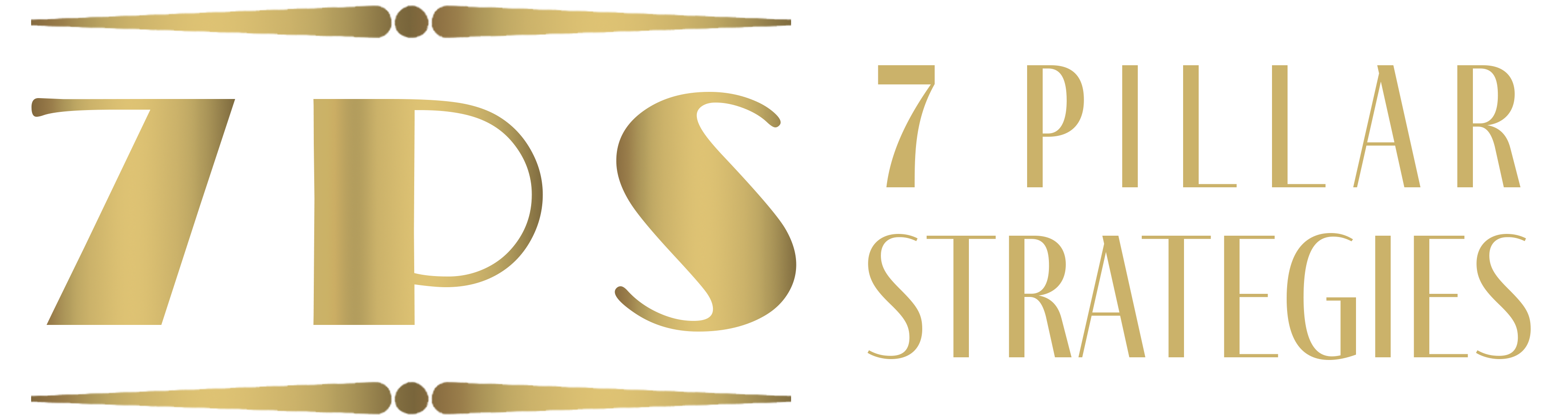 7PS Logo Horiz Trans BG