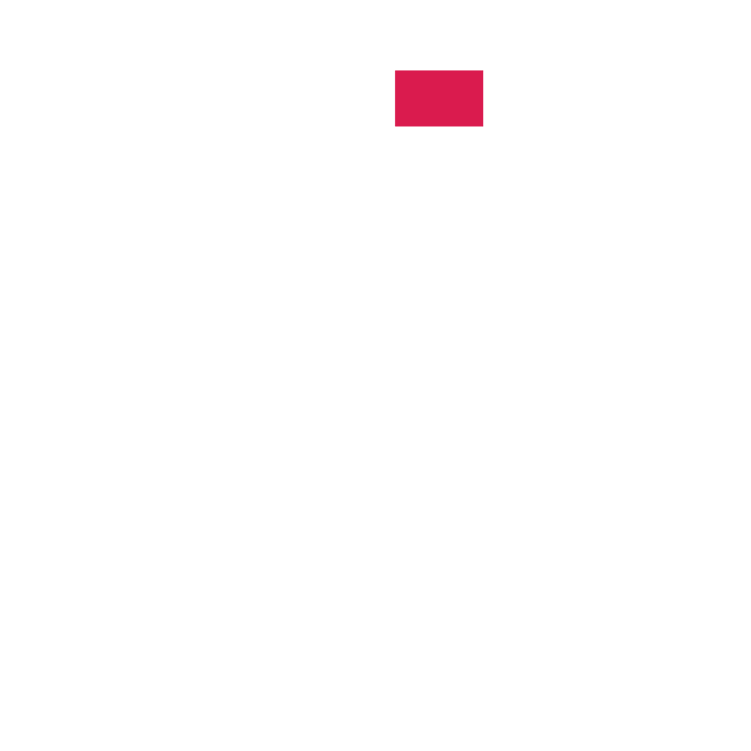 Political Fixer Icon